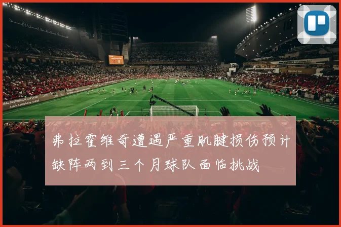 弗拉霍维奇遭遇严重肌腱损伤预计缺阵两到三个月球队面临挑战