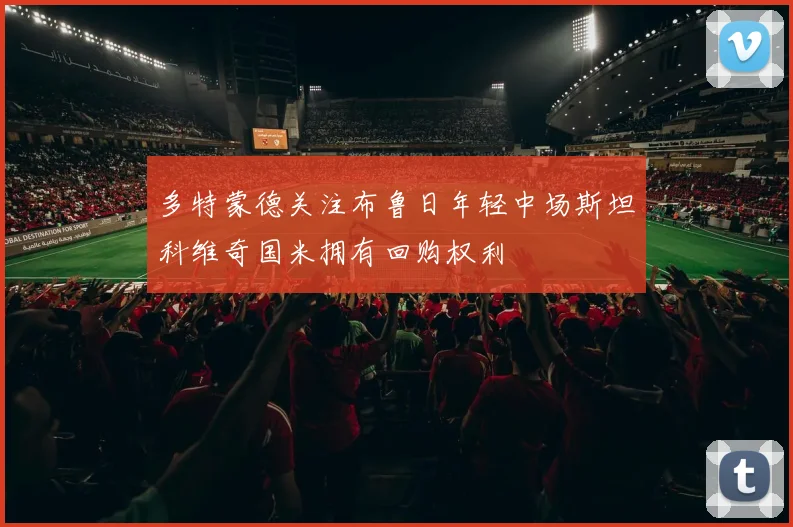 多特蒙德关注布鲁日年轻中场斯坦科维奇国米拥有回购权利