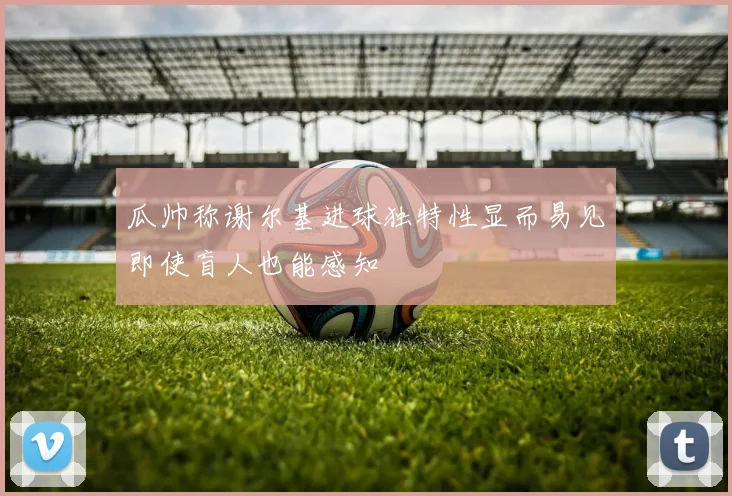 瓜帅称谢尔基进球独特性显而易见即使盲人也能感知