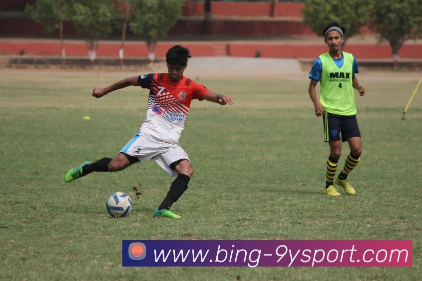 九游体育平台生态图